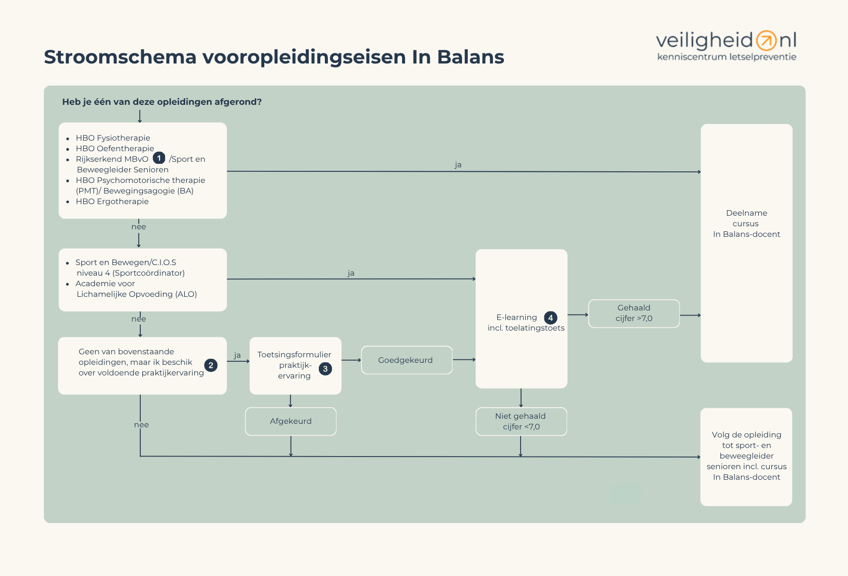 Stroomschema vooropleidingseisen In Balans