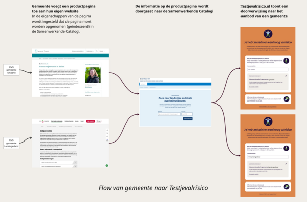 Flow gemeente website naar valrisicotest